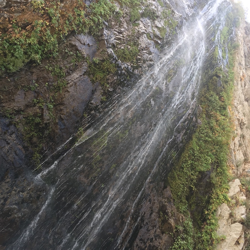 Meet your Posher, Steven